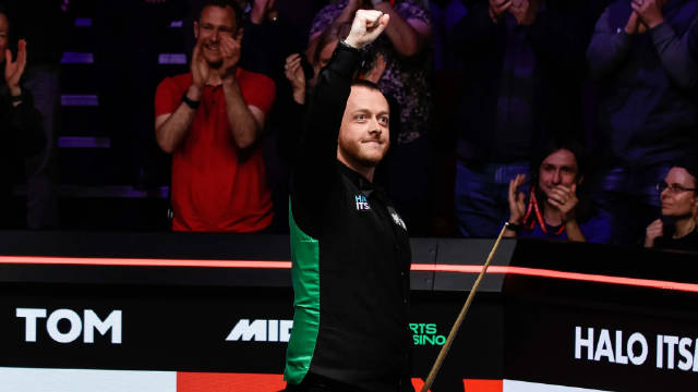 萨利巴案例 萨利巴案例